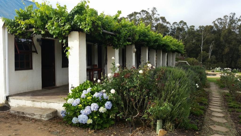 Over The Mountain Guest Farm George Exterior foto