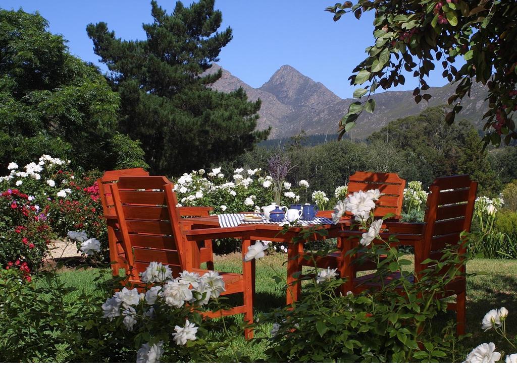 Over The Mountain Guest Farm George Exterior foto