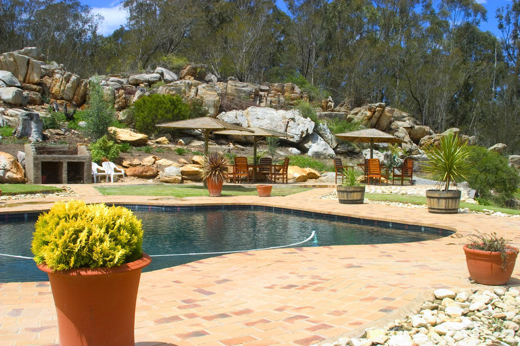 Over The Mountain Guest Farm George Exterior foto
