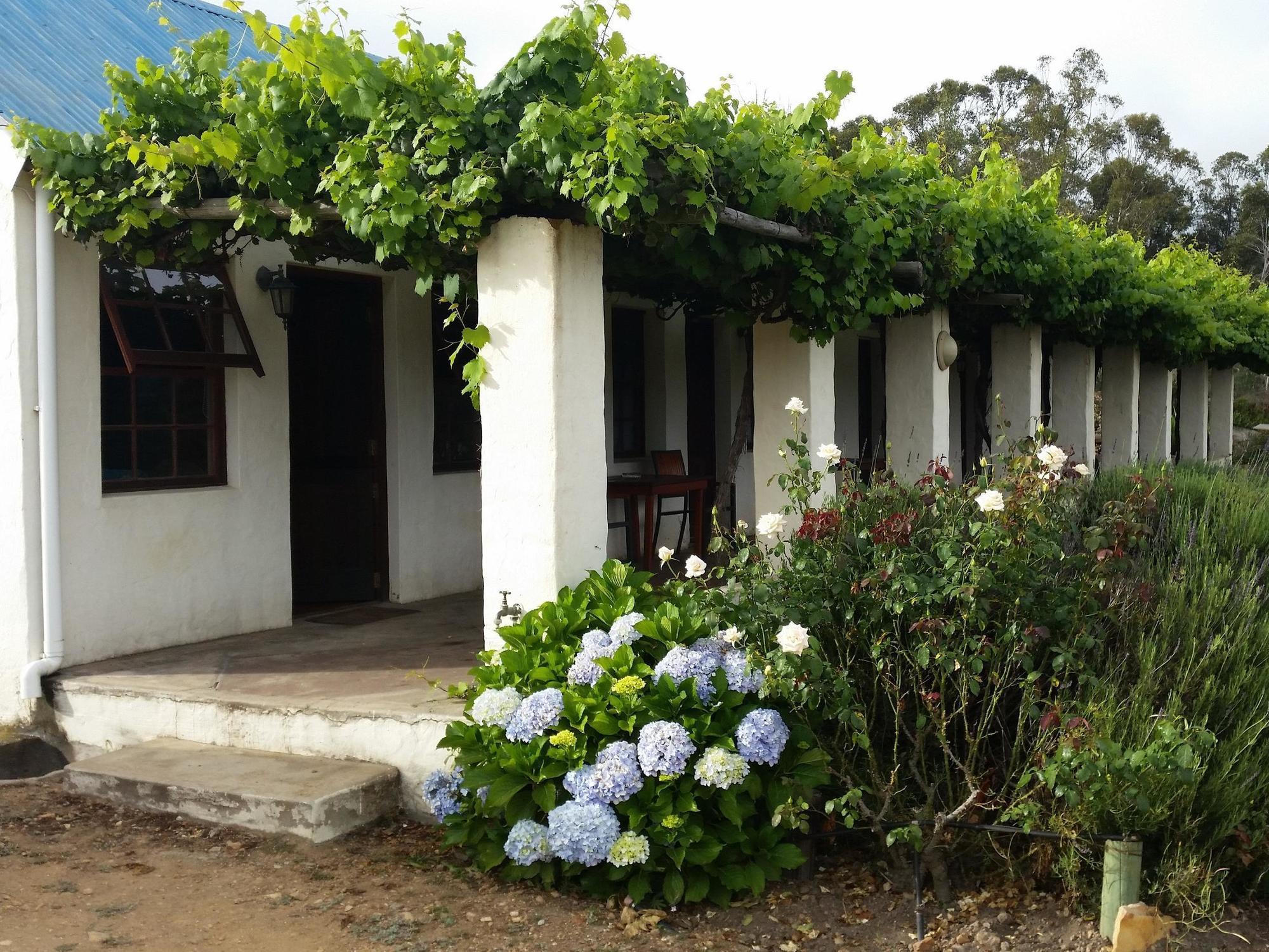 Over The Mountain Guest Farm George Exterior foto